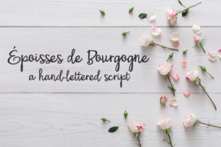 Reviewing PN Époisses De Bourgogne for Brand Use